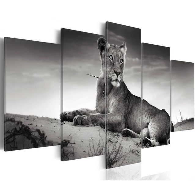Taulu Artgeist Lioness in a desert, eri kokoja