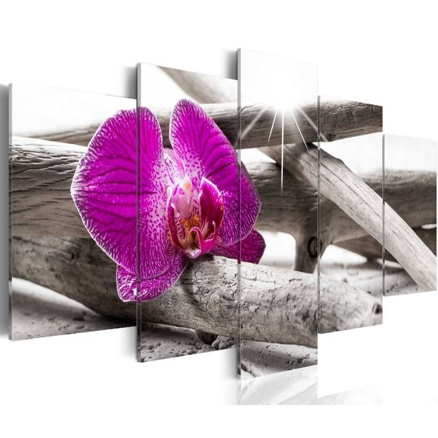 Taulu Artgeist Orchid on beach, eri kokoja