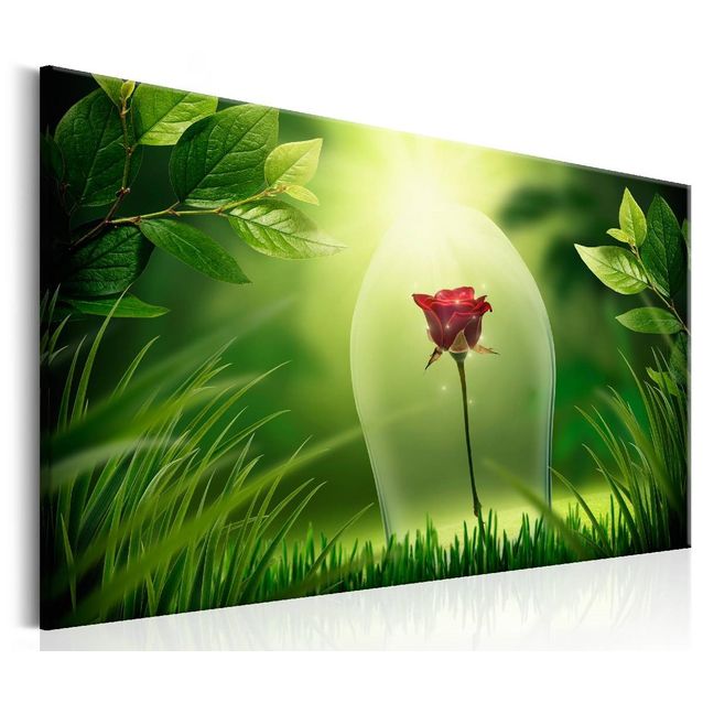 Taulu Artgeist Magical Rose, eri kokoja