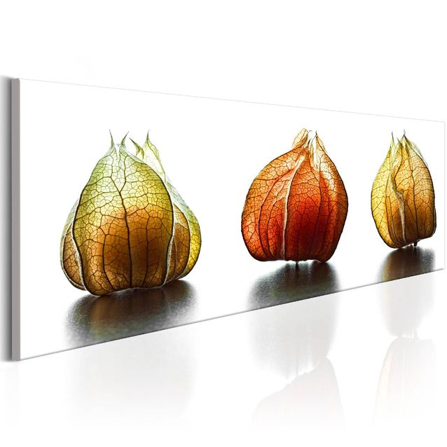 Taulu Artgeist Winter Cherry , eri kokoja