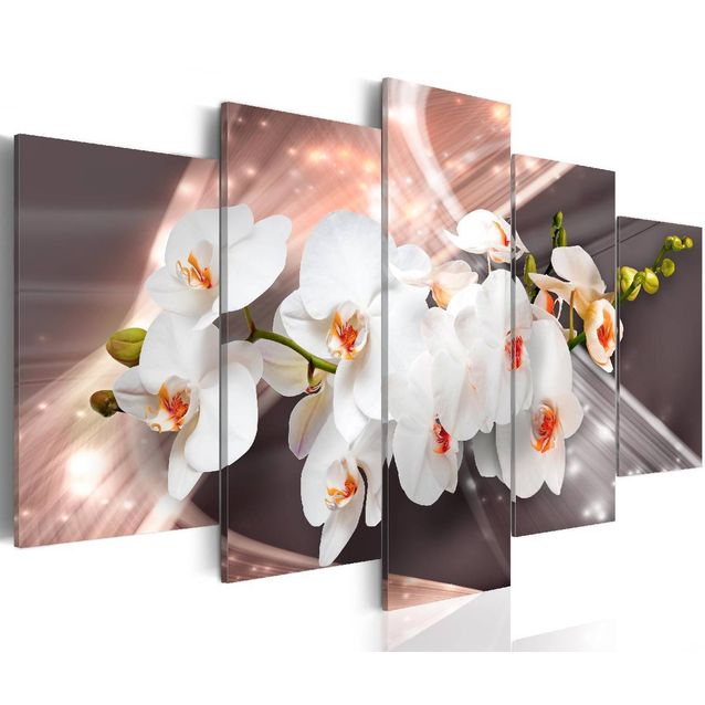 Taulu Artgeist Echo of Beauty, eri kokoja