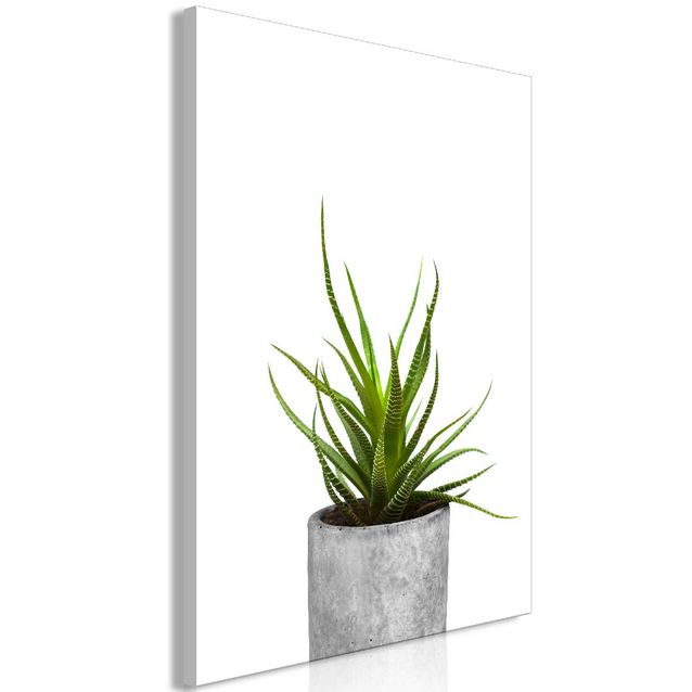 Taulu Artgeist Haworthia, 1-osainen, pystysuuntainen, eri kokoja