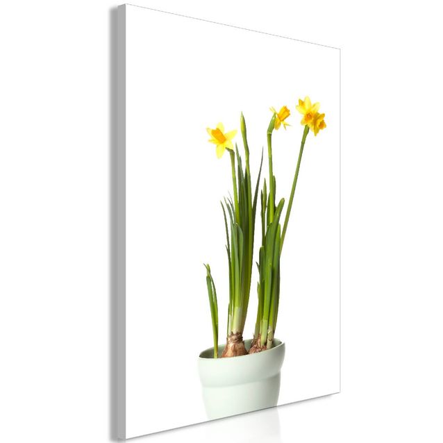 Taulu Artgeist Narcissus, 1-osainen, pystysuuntainen, eri kokoja