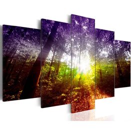 Canvas-taulu Artgeist Rainbow Forest, eri kokoja