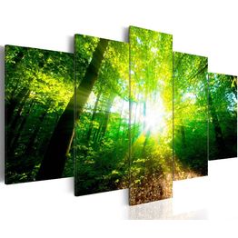 Canvas-taulu Artgeist Wonderful Morning, eri kokoja