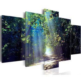 Canvas-taulu Artgeist Sunny Forest Path, eri kokoja