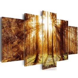 Canvas-taulu Artgeist Forest Illumination, eri kokoja