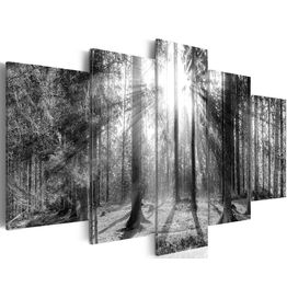 Canvas-taulu Artgeist Forest of Memories, eri kokoja