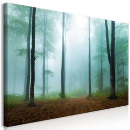 Canvas-taulu Artgeist Misty Morning, 1-osainen, leveä, eri kokoja