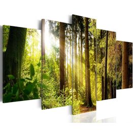 Canvas-taulu Artgeist Morning's Song, eri kokoja