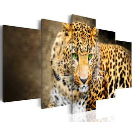 Canvas-taulu Artgeist Green-eyed, eri kokoja