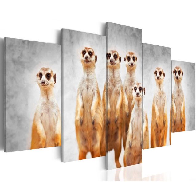 Taulu Artgeist Meerkats, eri kokoja