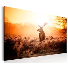 Canvas-taulu Artgeist Deer in the Sun, eri kokoja