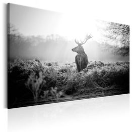 Canvas-taulu Artgeist Black and White Deer, eri kokoja