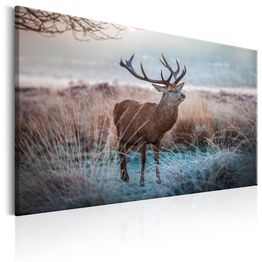 Canvas-taulu Artgeist Wild Animal, eri kokoja