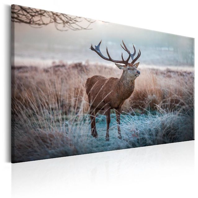 Taulu Artgeist Wild Animal, eri kokoja