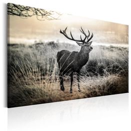 Canvas-taulu Artgeist Dangerous Horns, eri kokoja