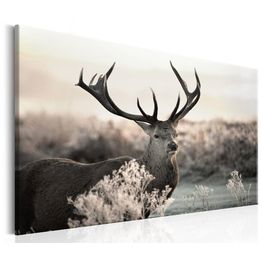 Canvas-taulu Artgeist Powerful Horns, eri kokoja