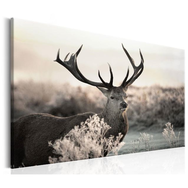 Taulu Artgeist Powerful Horns, eri kokoja