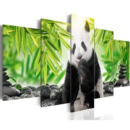 Canvas-taulu Artgeist Sweet Little Panda, eri kokoja