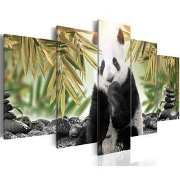 Canvas-taulu Artgeist Cute Panda Bear , eri kokoja