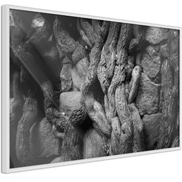 Juliste Artgeist Overgrown Stones kehyksillä eri kokoja