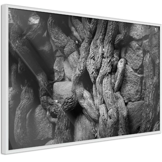 Juliste Artgeist Overgrown Stones kehyksillä eri kokoja