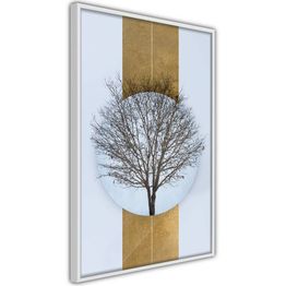 Juliste Artgeist Naked Tree kehyksillä eri kokoja