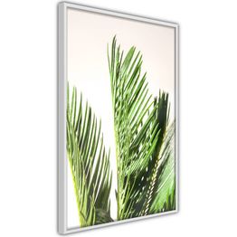 Juliste Artgeist Plant Detail kehyksillä eri kokoja