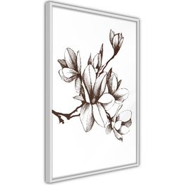 Juliste Artgeist Renaissance Magnolias kehyksillä eri kokoja