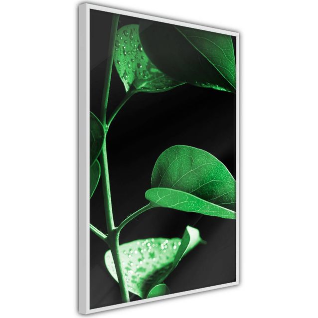 Juliste Artgeist Plant in Black kehyksillä eri kokoja