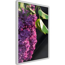 Juliste Artgeist Colours of Spring kehyksillä eri kokoja