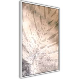 Juliste Artgeist Amber Monstera kehyksillä eri kokoja