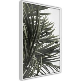 Juliste Artgeist In the Shade of Palm Trees kehyksillä eri kokoja