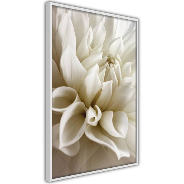 Juliste Artgeist Beautiful Dahlia kehyksillä eri kokoja