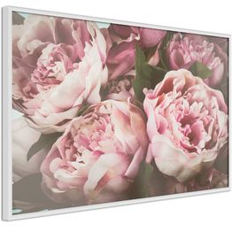 Juliste Artgeist Pink Peonies kehyksillä eri kokoja