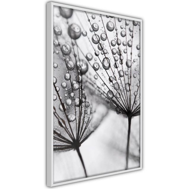 Juliste Artgeist Morning Dew kehyksillä eri kokoja