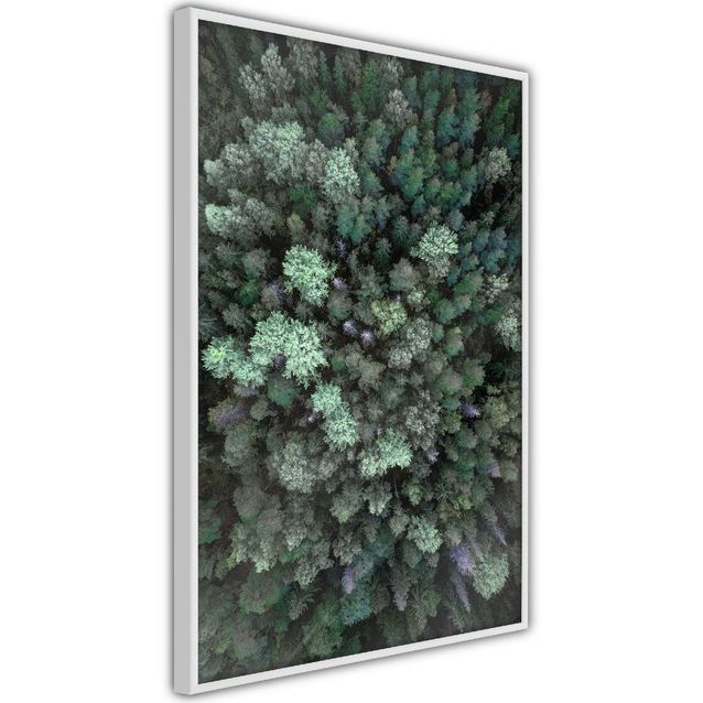 Juliste Artgeist Flying Over Forest kehyksillä eri kokoja