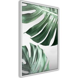 Juliste Artgeist Monstera Leaves kehyksillä eri kokoja