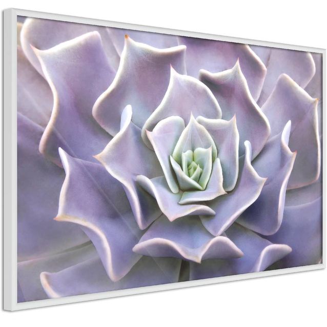 Juliste Artgeist Purple Succulent kehyksillä eri kokoja