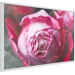 Juliste Artgeist Rose Geometry kehyksillä eri kokoja