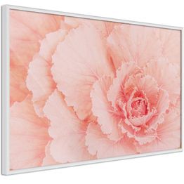 Juliste Artgeist Artistry of Delicacy kehyksillä eri kokoja