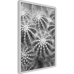 Juliste Artgeist Risky Adventure kehyksillä eri kokoja