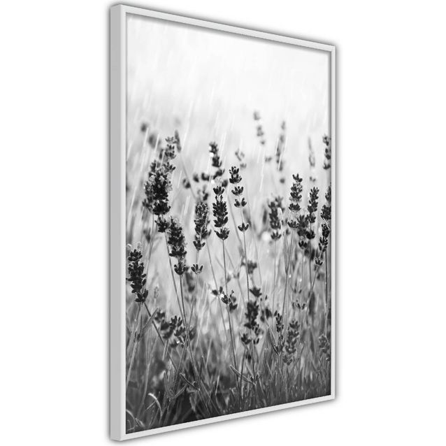 Juliste Artgeist Lavender in the Rain kehyksillä eri kokoja