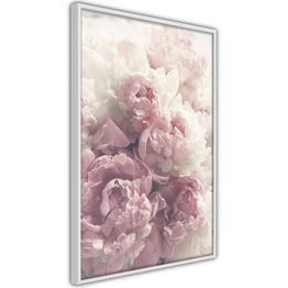 Juliste Artgeist Delicate Peonies kehyksillä eri kokoja
