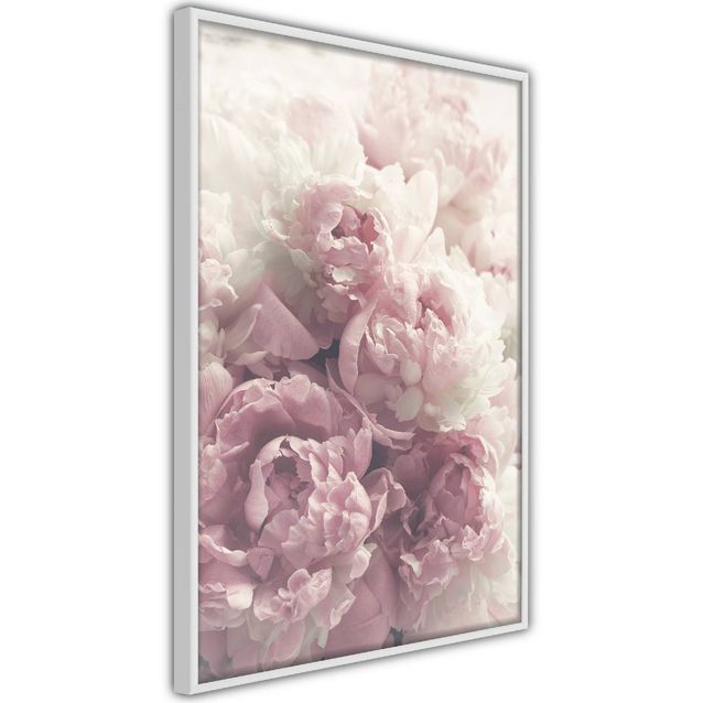 Juliste Artgeist Delicate Peonies kehyksillä eri kokoja
