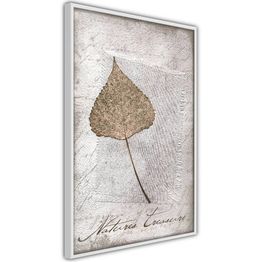 Juliste Artgeist Natures Treasures kehyksillä eri kokoja