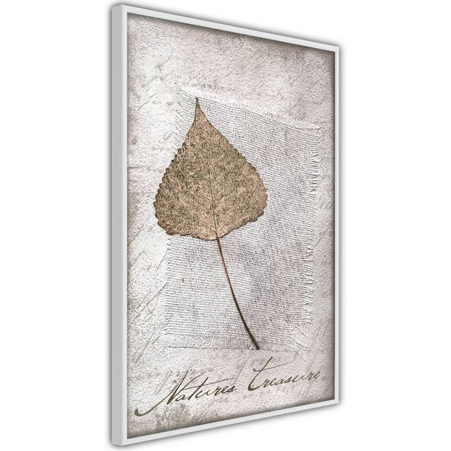 Juliste Artgeist Natures Treasures kehyksillä eri kokoja