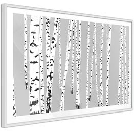 Juliste Artgeist Birch kehyksillä eri kokoja