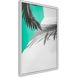 Juliste Artgeist Twig Shadow kehyksillä eri kokoja